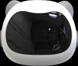 Khung mặt robot Pika