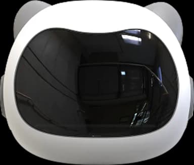 Khung mặt robot Pika