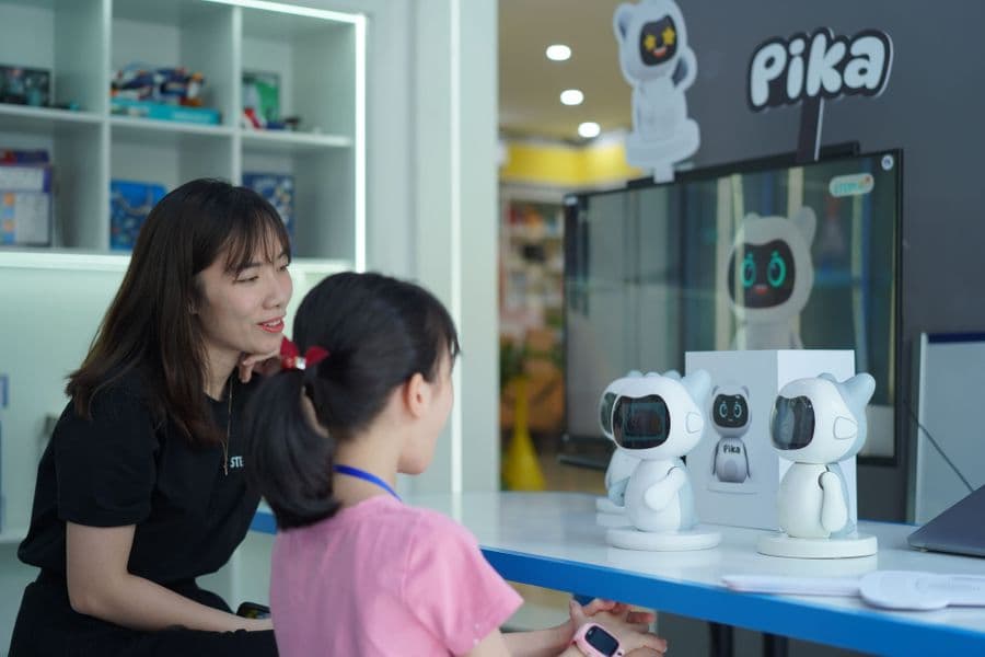 Pika Solution Context