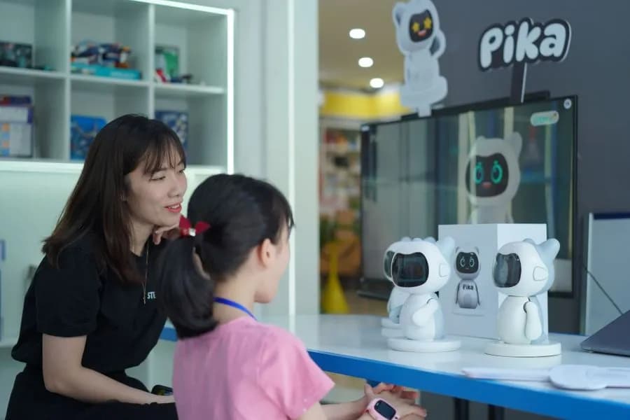 Pika Solution Context